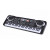 Orga electronica cu 61 de clape si microfon pentru copii (Keyboard, Pian electronic)