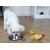 Castron Metalic pentru hranire animale de companie - 29cm Castron Metalic pentru hranire animale de companie - 29cm