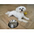 Castron Metalic pentru hranire animale de companie - 29cm Castron Metalic pentru hranire animale de companie - 29cm