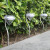 Lampa Solara estetica exterioara de gradina RGB LED tip Lampa Solara estetica exterioara de gradina RGB LED tip