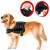 Ham pentru caini SENIOR DOG L (70 - 90cm) Ham pentru caini SENIOR DOG L (70 - 90cm)